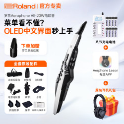 Roland AE-30电吹管Aerophone系列AE-20乐器萨克斯专业音色音源电子吹管 AE20+赠原装笛头+充电套装+原装耳机