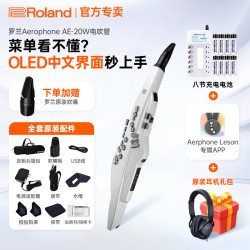 Roland AE-30电吹管Aerophone系列AE-20乐器萨克斯专业音色音源电子吹管 AE20W+赠原装笛头+充电套装+原装耳机