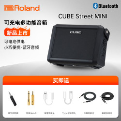 Roland CUBE-Street EX 音箱户外路演 便携弹唱电吹管电吉他户外弹唱音响 CUBE STREET MINI音箱