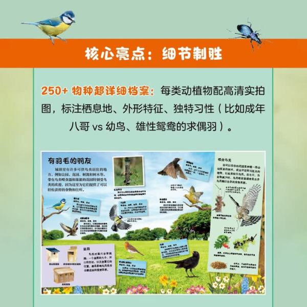 《DK小自然探险家》+《DK动物宝贝生存全书》(全2册)