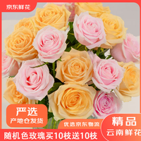 骆驼 京东鲜花情人节随机色玫瑰花买10枝送10枝颜色生活插花源头直发