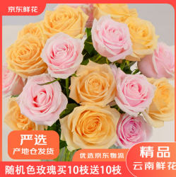 骆驼 京东鲜花情人节随机色玫瑰花买10枝送10枝颜色生活插花源头直发