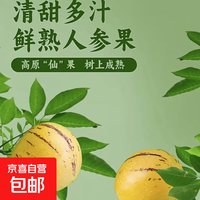 人参果 小果30-50g 净重200g
