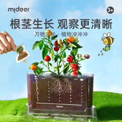 弥鹿 阳光房种植儿童科学小实验套装植物生长观察盒生日礼物儿童礼物 科学小实验套装-植物生长观察盒