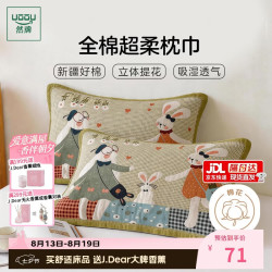 然牌 A类抗菌100%纯棉枕巾 防油防汗加大加厚枕头巾 一对装 50*80cm