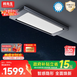 邦先生 M66CPRO 电动晾衣架 离线语音+除菌版 2.2m 灰