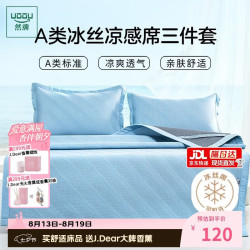 然牌 豆豆冰丝凉席两件套 A类凉感席 可机洗空调席 120*200cm蓝