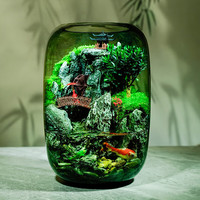 艾格辰 时来运转水培微景观鱼缸