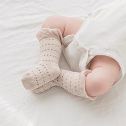 乖奇熊 婴幼儿透气网眼防蚊袜