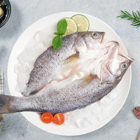湄公大厨 白蕉海鲈鱼 450-550g/条 3条装 三去开背 (附料包)