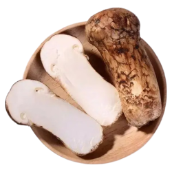 滇味十足 云南新鲜松茸 5-7cm 500g