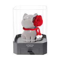 七夕好礼：Cat&Rose 永生花猫礼盒
