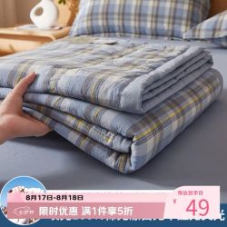 AIDLI 真5折！A类100%新疆棉花可水洗夏凉被 150*200cm