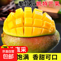 京喜 四川攀枝花凯特芒果 带箱3斤单果300g+（买一送一到手6斤）