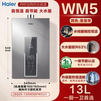 海尔 燃气热水器家用天然气洗澡水伺服恒温一级能效节能WM5增压16L