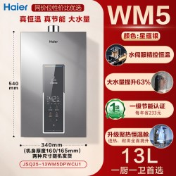 海尔 燃气热水器家用天然气洗澡水伺服恒温一级能效节能WM5增压16L
