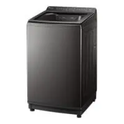 小天鹅 小乌梅波轮洗衣机 TB10VE20D 10KG