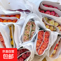 京喜 七夕专属盲盒玫瑰鲜花云南基地直发室内软装水培送礼花束 随机盲盒玫瑰 基地直发款