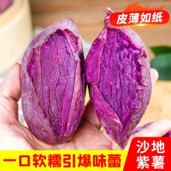 乐芮 新鲜紫薯紫罗兰蜜薯板栗红薯沙地番薯地瓜