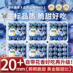 鲜级佳 云南花香蓝莓巨无霸新鲜超大蓝莓礼盒 精品果15mm+ 125g*4盒 净400g*