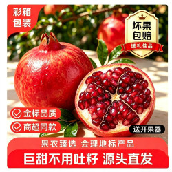 勿语 地标认证会理突尼斯软籽石榴 精选果皮薄爆汁新鲜水果产地直发 净重5斤 单果3-6两
