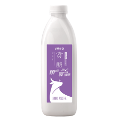 PURE MILK 酸奶赏酪原味家庭分享装1kg*2桶风味发酵乳益生菌低温酸牛奶