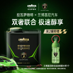 拉瓦萨 限定意式甄选咖啡豆200g罐装 可可，榛子 中度烘焙