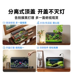 当贝 智能鱼缸2S Ultra桌面生态鱼缸双重过滤干湿分离