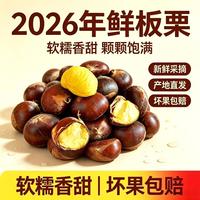 26年新下树 新鲜云南板栗  买一送一 共2斤