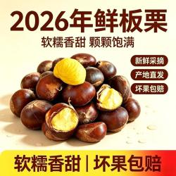 26年新下树 新鲜云南板栗  买一送一 共2斤