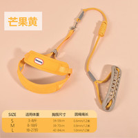 泰迪比熊背心牵引绳
