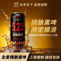 水秀天下 千岛湖水秀天下精酿黑啤啤酒500ml*12罐高浓度全麦