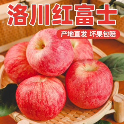 陕西洛川丑苹果 净重8斤 单果80mm+