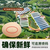 天猫超市 猫超臻选 叶黄素鸡蛋50g*30枚 无抗无沙门氏菌溏心可生食级