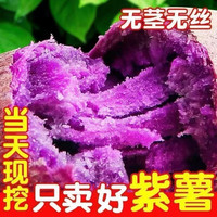 九曲食珍 广西紫薯 精选中果 净重9斤装 产地直发