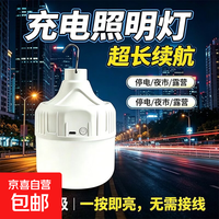 京喜 超亮led白光充电灯泡户外防水夜市地摊摆摊神器家用照明节能耐用 450W三档调光 超亮 配USB线