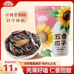毛嗑 五香 瓜子 五香味瓜子500g