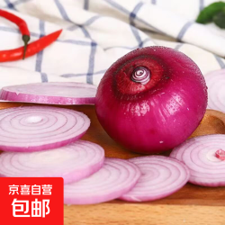 京喜 甘肃新鲜红洋葱产地直发紫红洋葱应季现挖个头匀称 净重约500g
