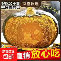 京喜 正宗云南板栗味贝贝南瓜粉糯香甜南瓜当季新鲜蔬菜整箱装 净重 1斤 正宗贝贝南瓜