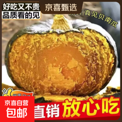 京喜 正宗云南板栗味贝贝南瓜粉糯香甜南瓜当季新鲜蔬菜整箱装 净重 1斤 正宗贝贝南瓜