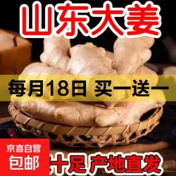京喜 山东窖藏大黄姜新鲜风干生姜老姜沙姜月子姜农家现挖 净重240g精选山东大姜