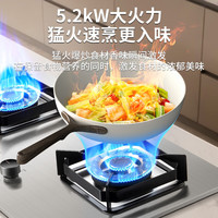 荣事达 JZT-LL57 纯铜炉头防干烧 天然气 嵌入式燃气灶