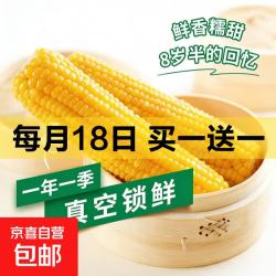 京喜 东北正宗黄糯玉米 黄糯玉米250g*5支 拍一赠一