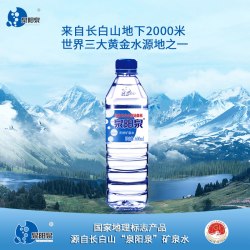 泉阳泉 矿泉水天然长白山600ml小瓶弱碱性饮用水山泉瓶装泡茶