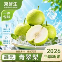 京鲜生 安徽砀山 绿皇冠冰糖梨 净重5斤装 单果220g+ 生鲜水果源头直发