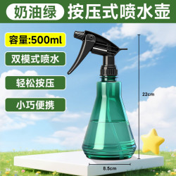 得力 喷壶浇花家用浇水喷雾器清洁喷水壶洒水壶气按压式消毒酒精喷雾瓶 500ml气压喷壶