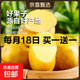 京喜 当季山东黄心土豆新鲜现挖土豆农家马铃薯黄皮黄心大包装健康即食 黄心土豆小果 2斤(带箱)
