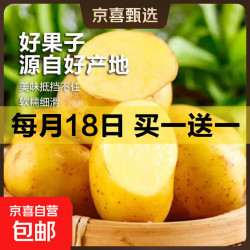 京喜 当季山东黄心土豆新鲜现挖土豆农家马铃薯黄皮黄心大包装健康即食 黄心土豆小果 2斤(带箱)