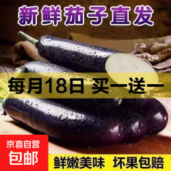 京喜 东北发货绿把长茄优质新鲜紫皮茄子现摘可生吃时令茄子批发 山东新鲜现摘茄子 2斤 净重