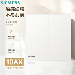 西门子 开关面板 10AX二开单控 哑光暗装开关 蕴逸象牙白5TA4321-3NC01